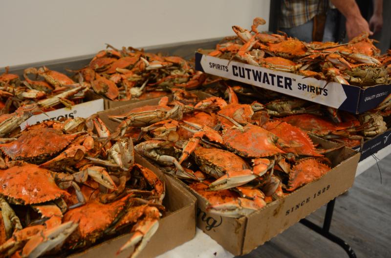 Milton Fire Dept. Ladies Auxiliary hosts annual crab eat | Cape Gazette